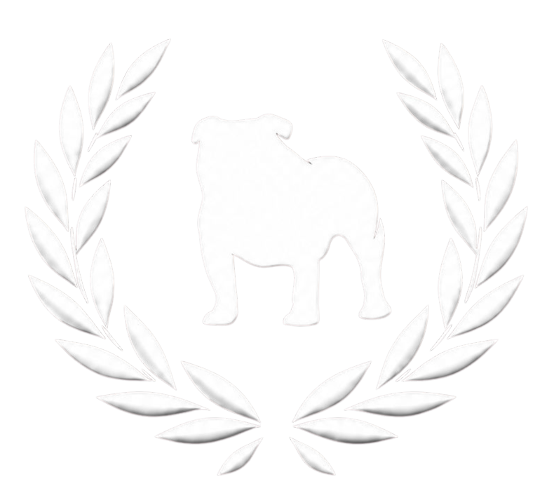 DOGtrainer Fellino